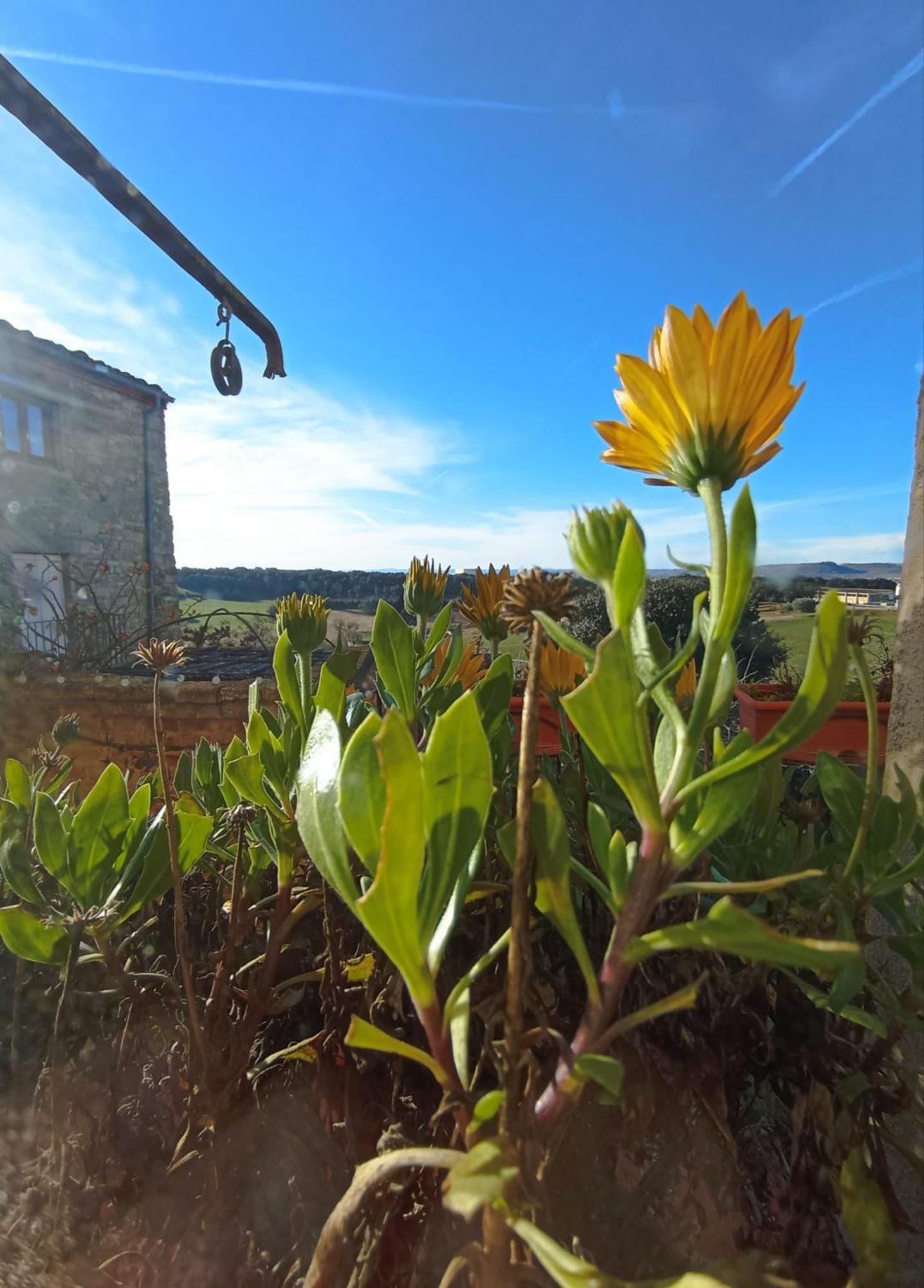 Affittacamere Casa Pardal Coliving & Coworking Sant Pere Sallavinera Esterno foto